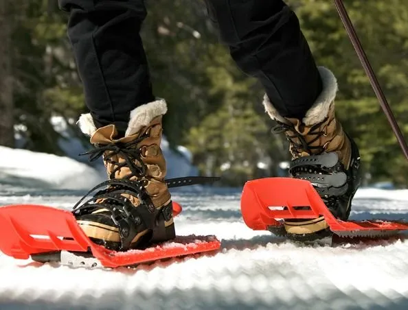 Snowshoes on a snowy trail